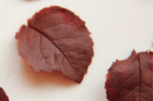 Another Valentine's Day Idea: Chocolate leaves