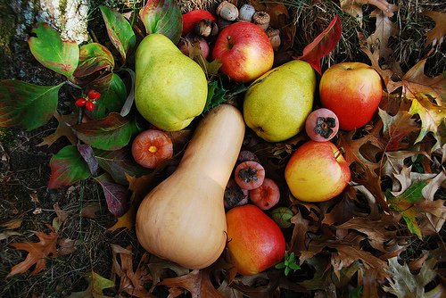 How to store autumn fruits correctly