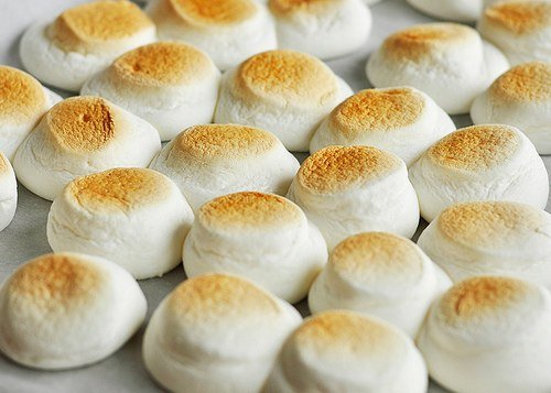VIDEO: Testing willpower with marshmallows, toasted marshmallows