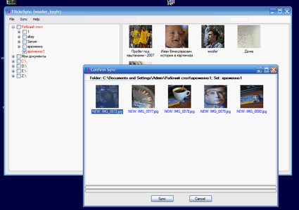 FlickrSync is a convenient program for uploading photos to Flickr