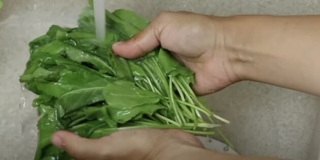 How to freeze sorrel for the winter