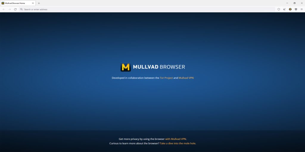 The Mullvad browser will protect against surveillance by websites and help maintain privacy